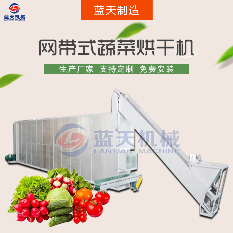 蔬菜網帶烘干機