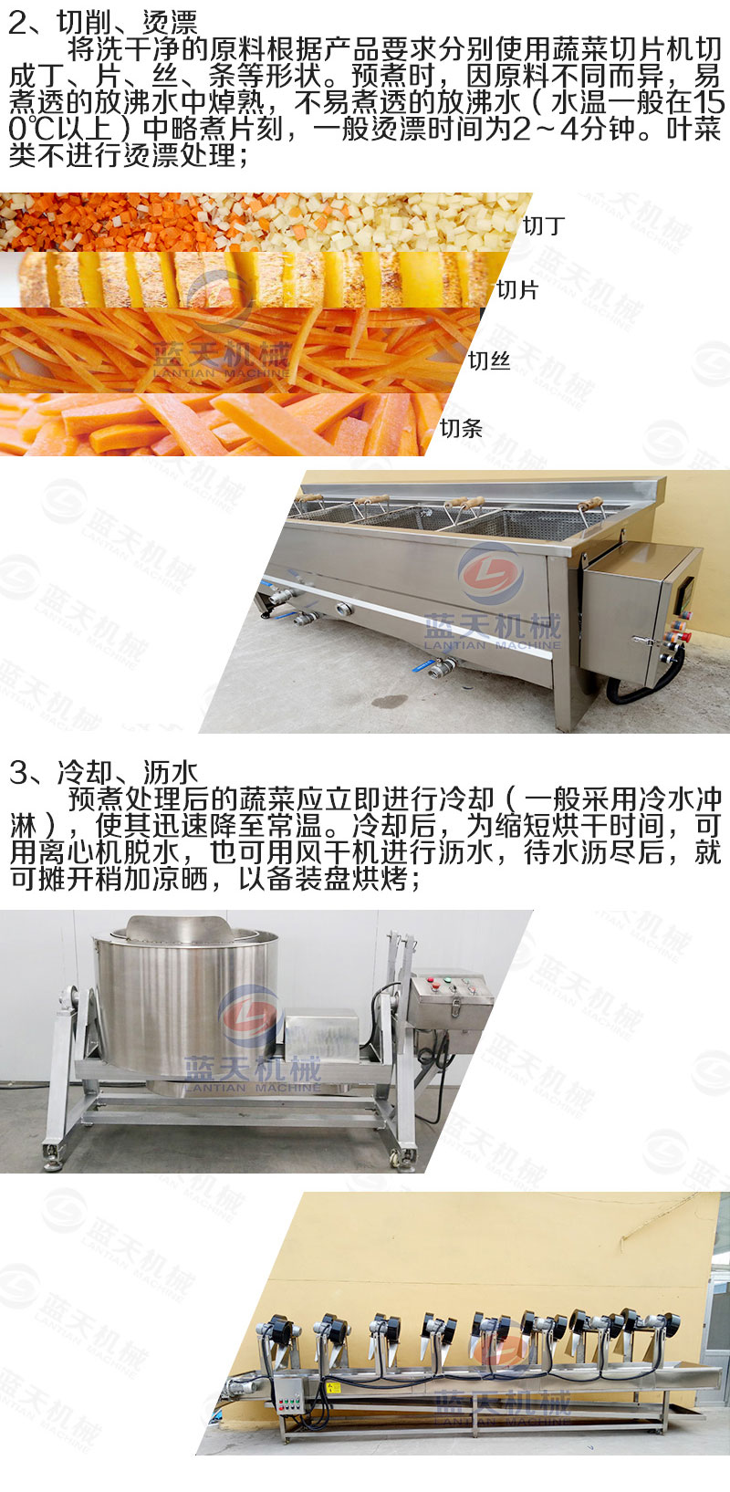 蔬菜網帶烘干機烘干工藝