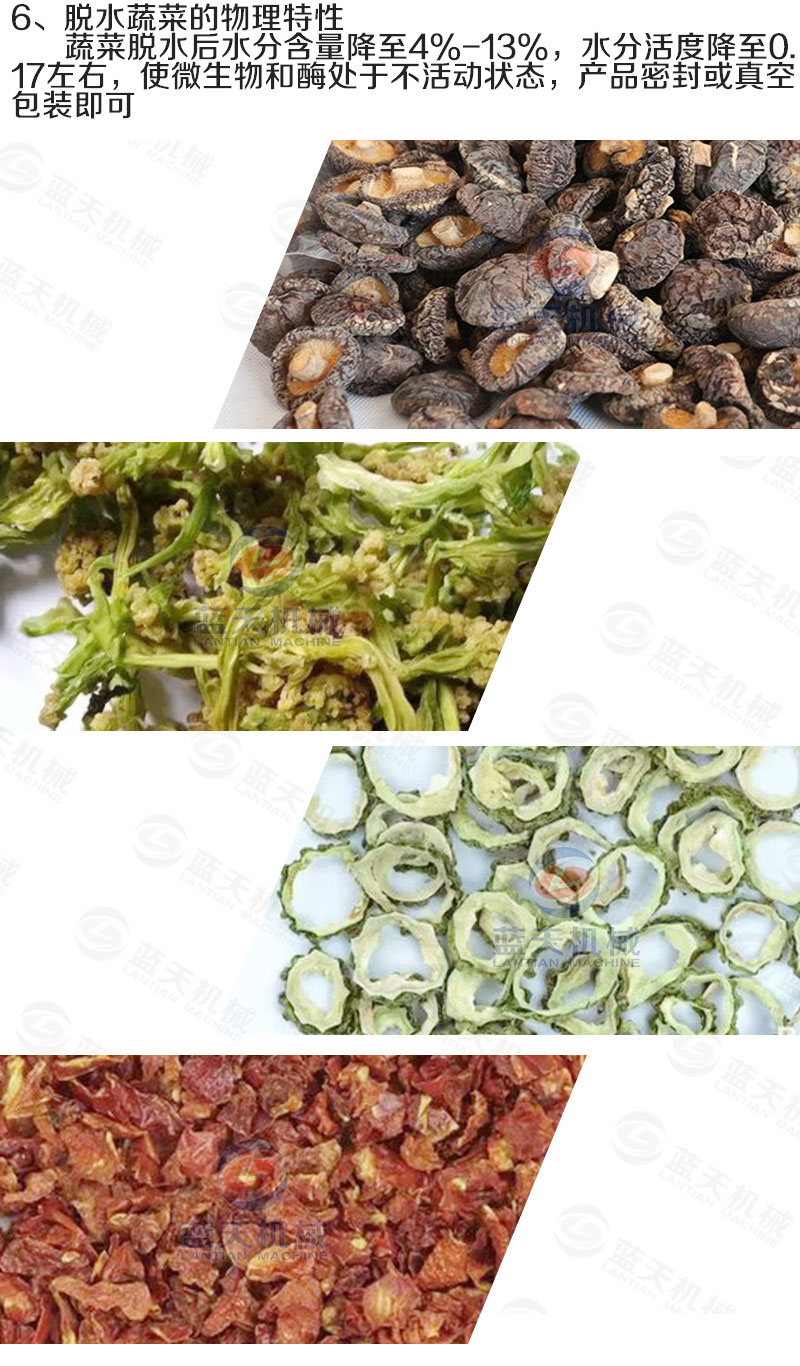 蔬菜網帶烘干機烘干工藝