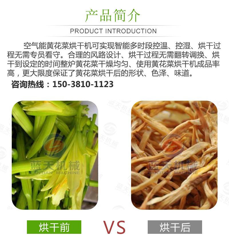 黃花菜網(wǎng)帶烘干機產(chǎn)品簡介