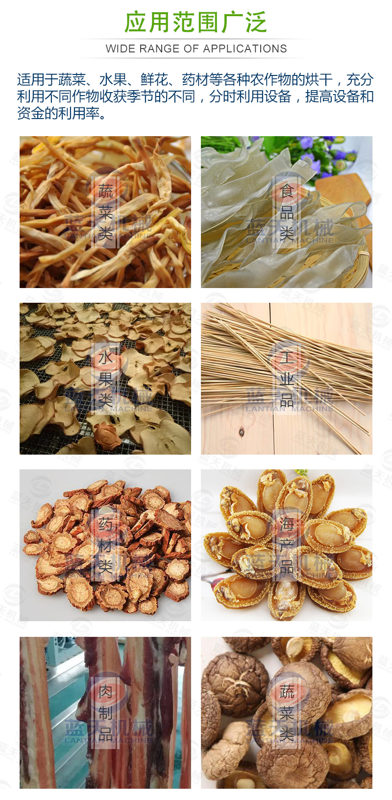 黃花菜網(wǎng)帶烘干機應用范圍