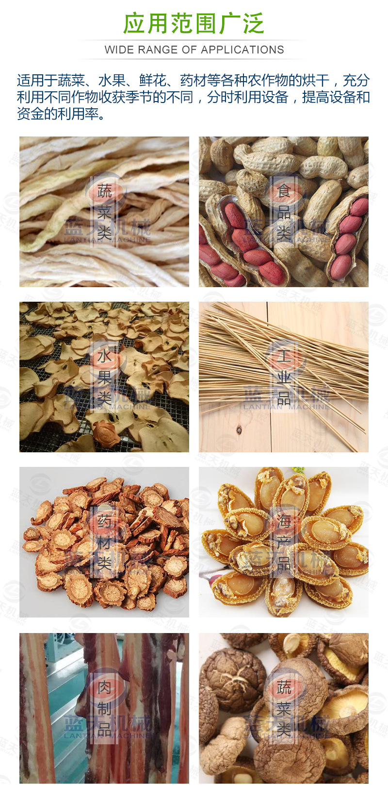 蘿卜條網帶烘干機應用范圍