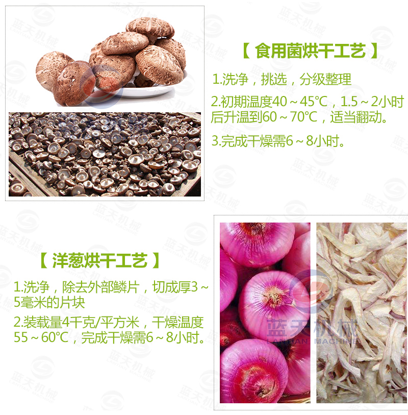大蒜片網(wǎng)帶烘干機(jī)常見(jiàn)蔬菜烘干工藝