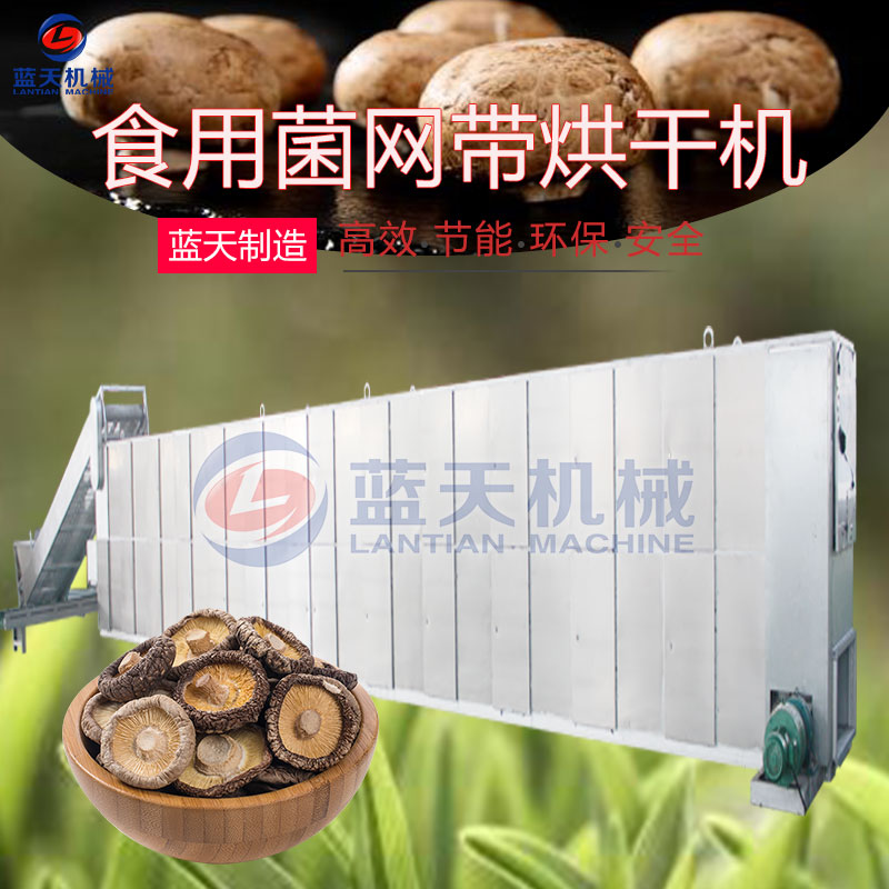食用菌網帶烘干機