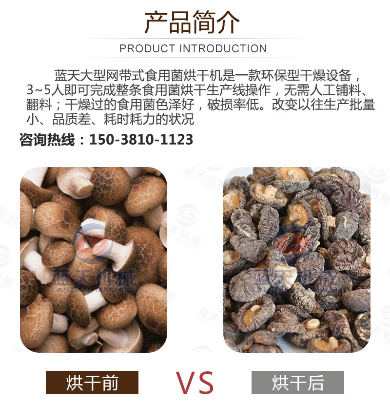 食用菌網帶烘干機產品簡介