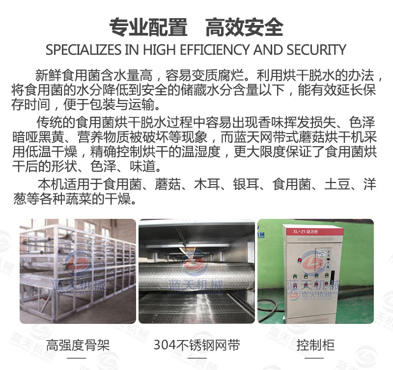 食用菌網帶烘干機專業(yè)配置
