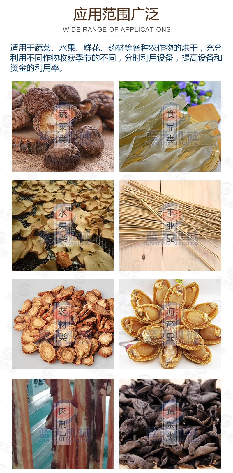 食用菌網帶烘干機應用范圍
