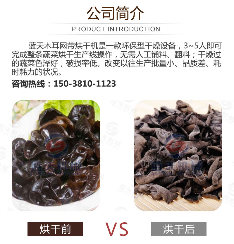 木耳網帶烘干機產品簡介