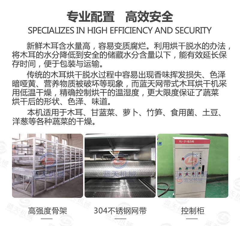 木耳網帶烘干機專業配置