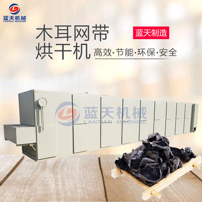 木耳網帶烘干機