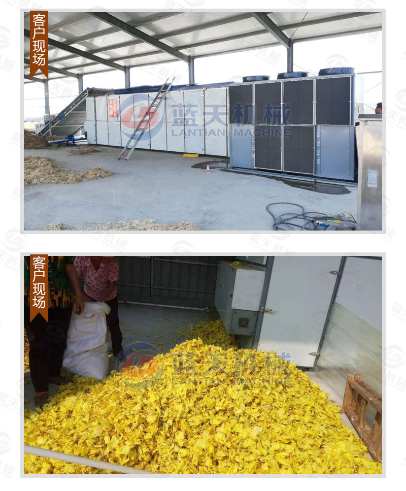 木耳網帶烘干機私人定制