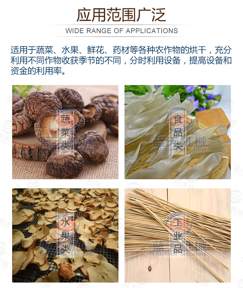 木耳網帶烘干機應用范圍廣泛