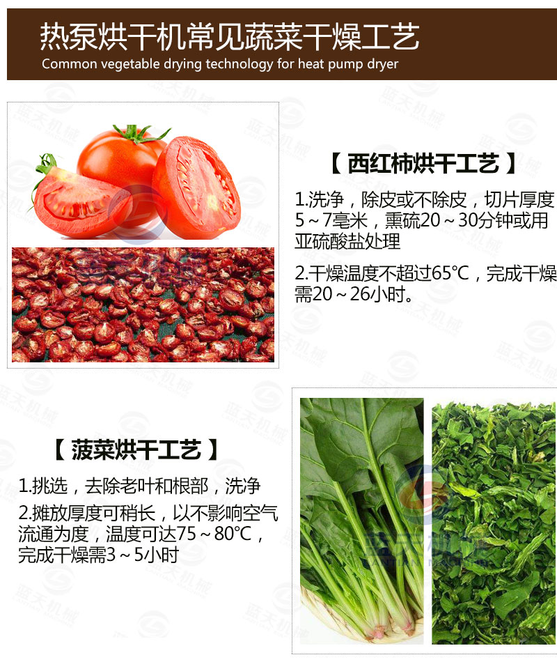 木耳網帶烘干機常見蔬菜烘干工藝