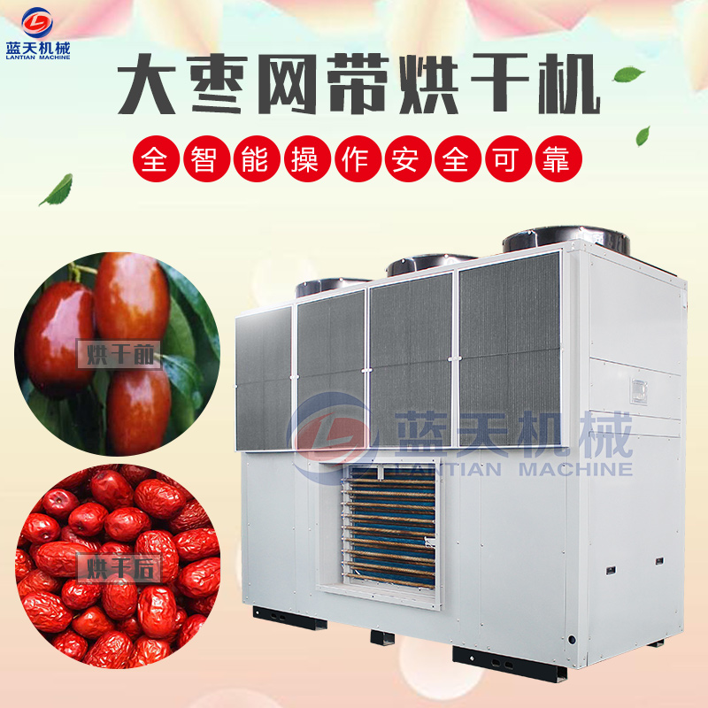大棗網帶烘干機