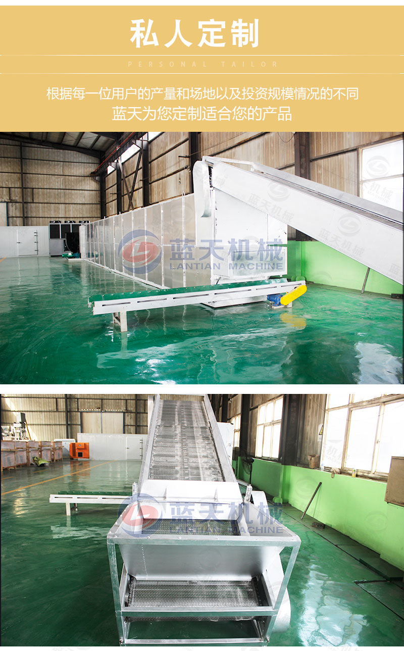 大棗網帶烘干機私人定制