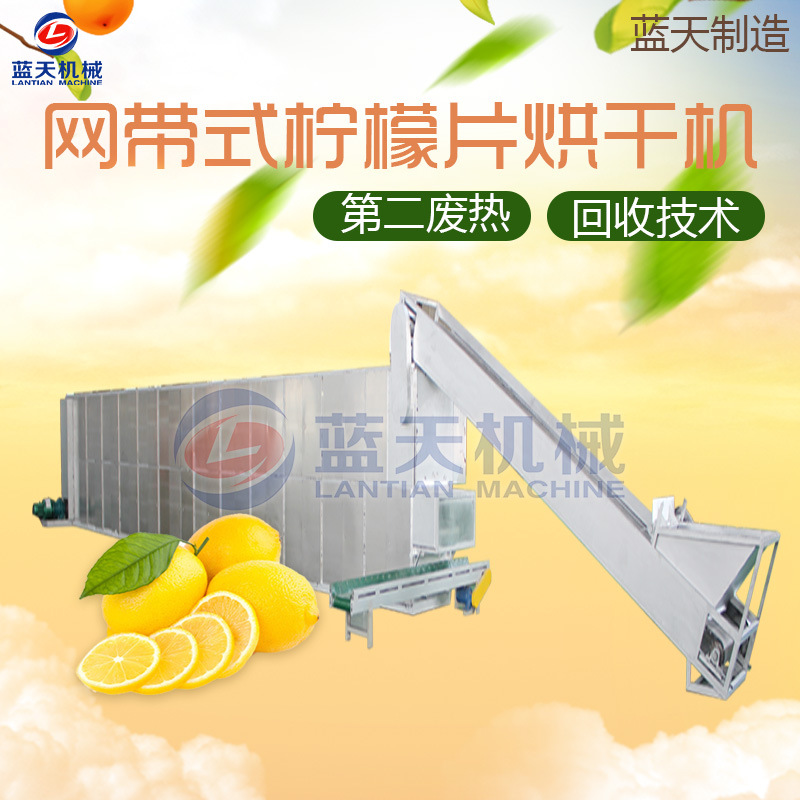檸檬片網帶烘干機