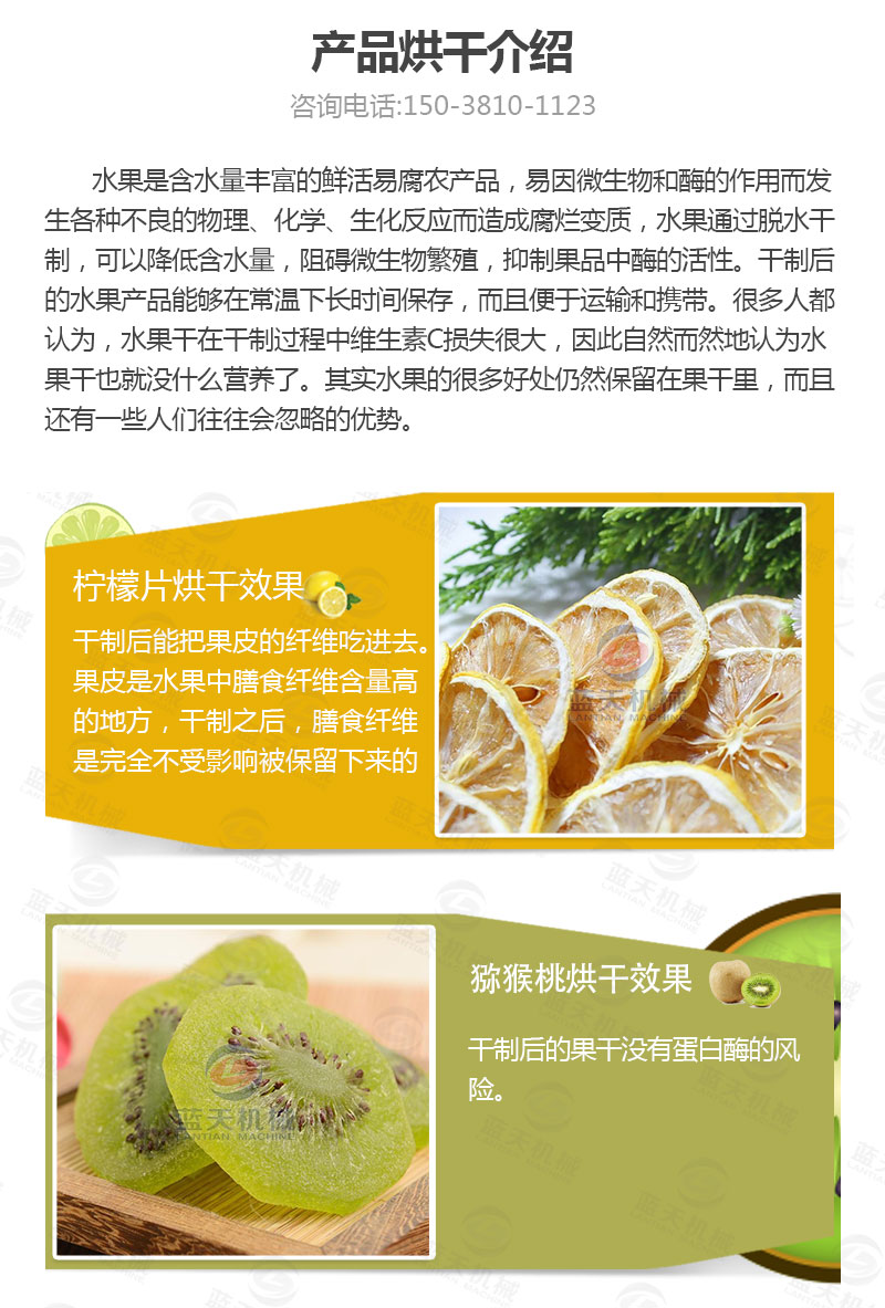 檸檬片網帶烘干機產品烘干
