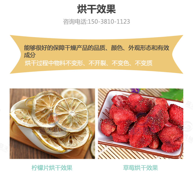 檸檬片網帶烘干機烘干效果