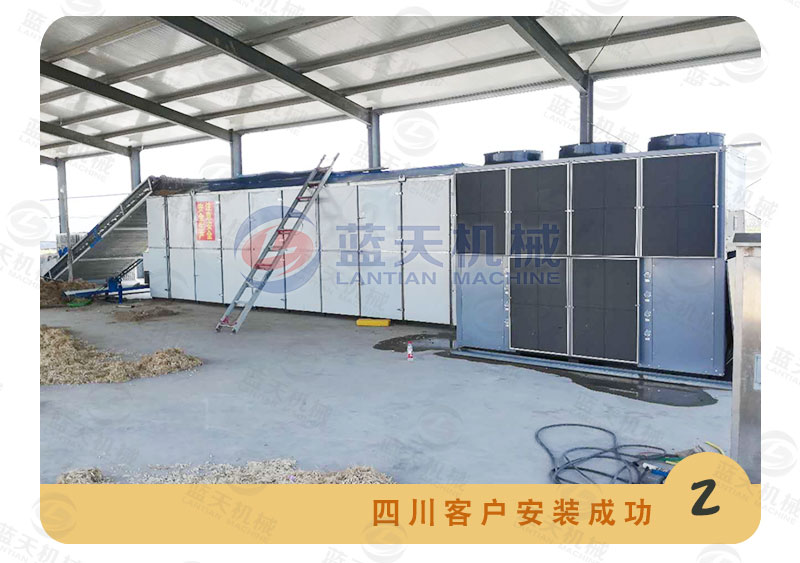 檸檬片網帶烘干機客戶現場