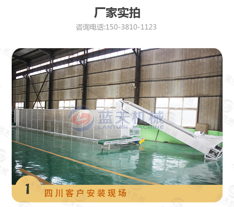 檸檬片網帶烘干機廠家實拍