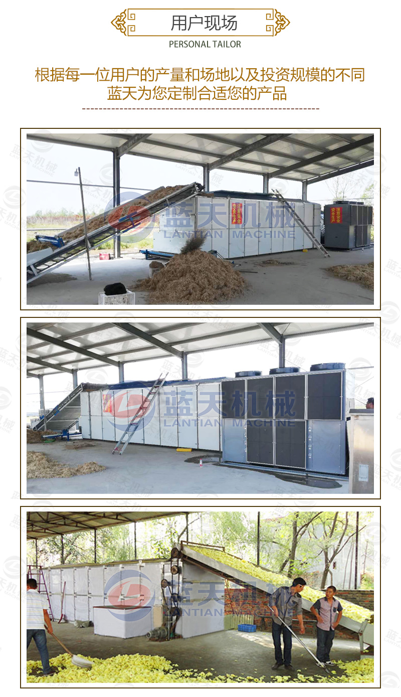 菊花網帶式烘干機用戶現場