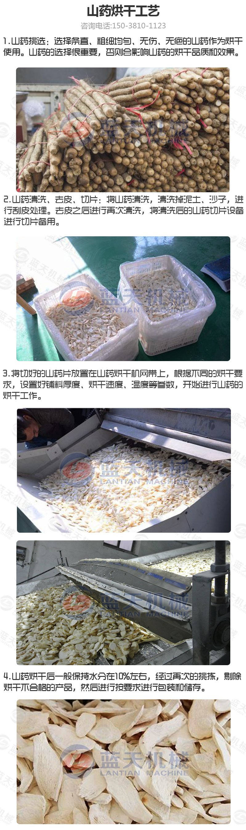 山藥片網帶式烘干機烘干工藝