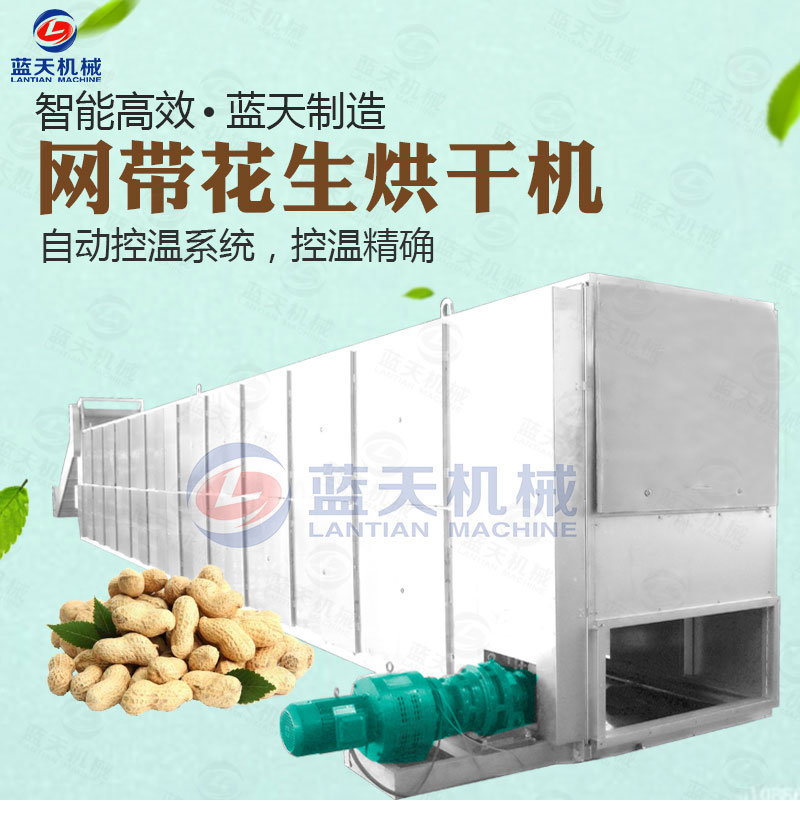 花生網帶式烘干機