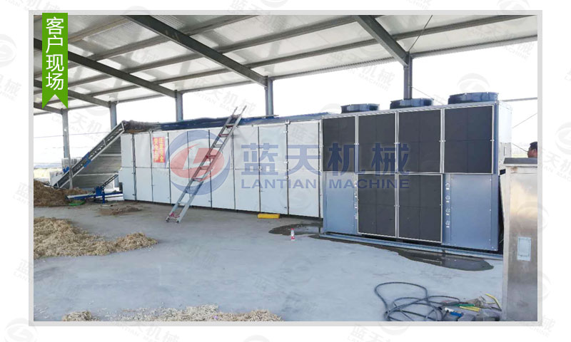 花生網帶式烘干機客戶現場