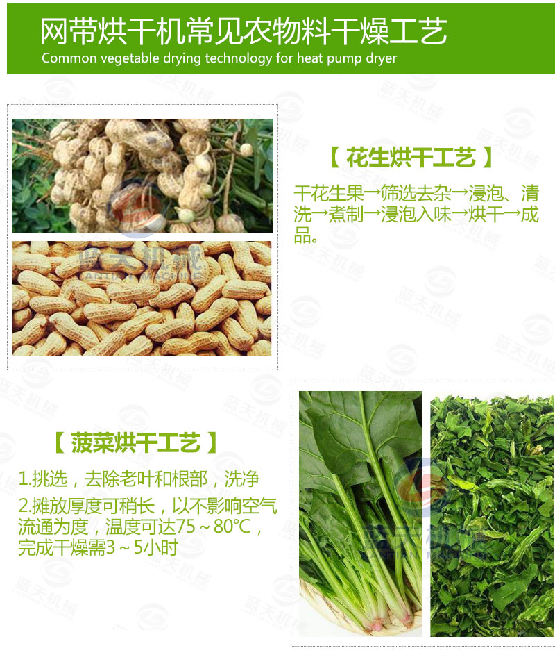 花生網帶式烘干機常見蔬菜烘干工藝